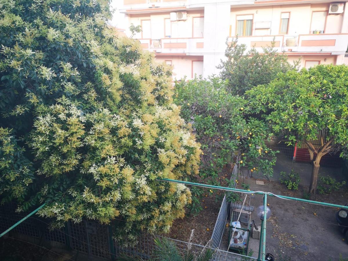 Assueli B&B Assemini Exteriér fotografie